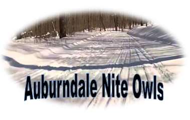 Auburndale Nite Owls Picture